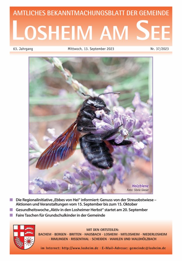 Amtliches Bekanntmachungsblatt der Gemeinde Losheim am See Titelblatt 37/2023
