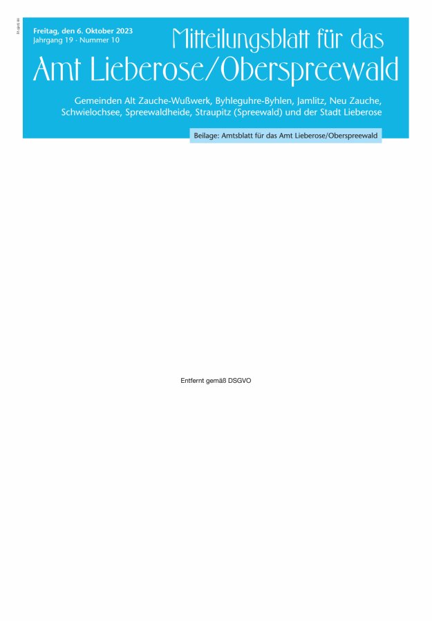 Mitteilungsblatt – Amtsblatt für das Amt Lieberose/Oberspreewald Titelblatt 10/2023