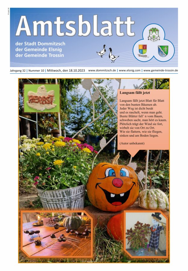 Dommitzsch Info - Amtsblatt der Stadt Dommitzsch der Gemeinden Elsnig und Trossin Titelblatt 10/2023