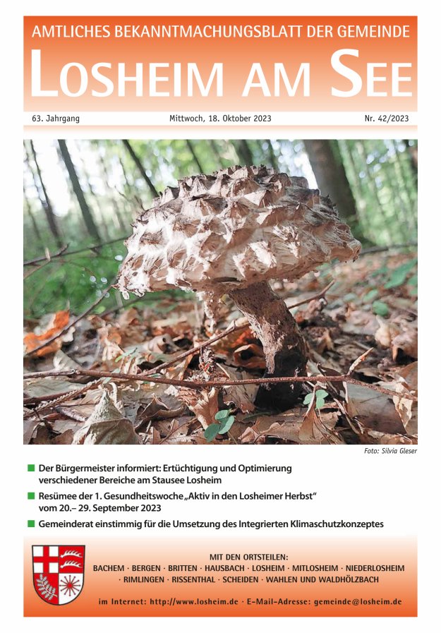 Amtliches Bekanntmachungsblatt der Gemeinde Losheim am See Titelblatt 42/2023