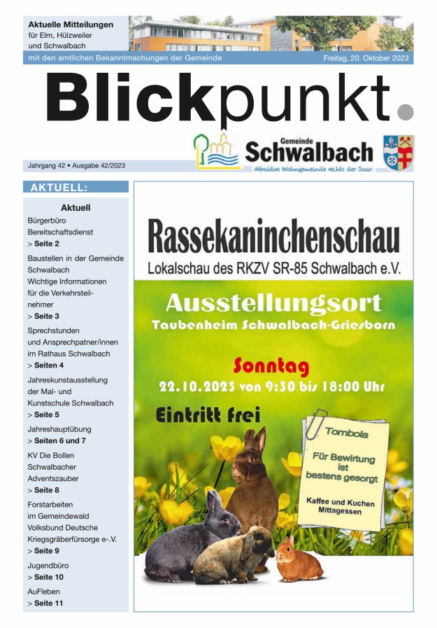 Blickpunkt Schwalbach Titelblatt 42/2023