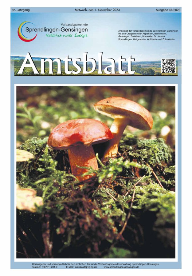 Amtsblatt VG Sprendlingen-Gensingen Titelblatt 44/2023