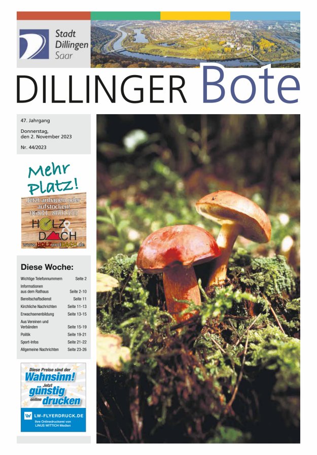 Dillinger Bote Titelblatt 44/2023