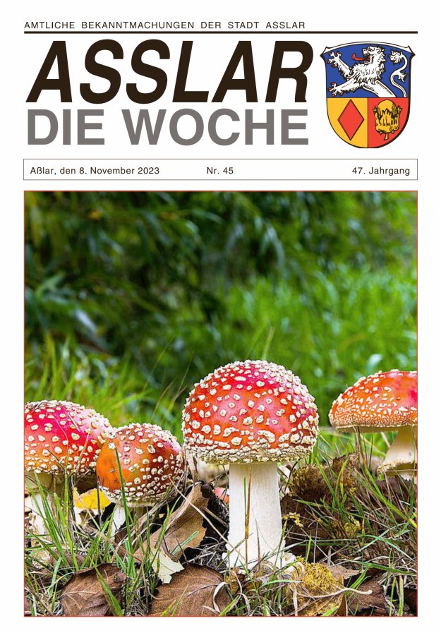 Asslar - Die Woche Titelblatt 45/2023