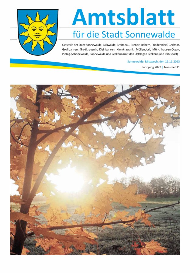 Amtsblatt für die Stadt Sonnewalde Titelblatt 11/2023