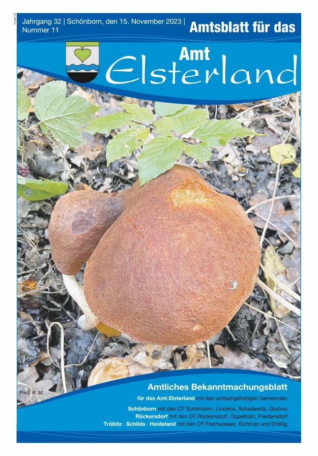 Amtsblatt für das Amt Elsterland Titelblatt 11/2023