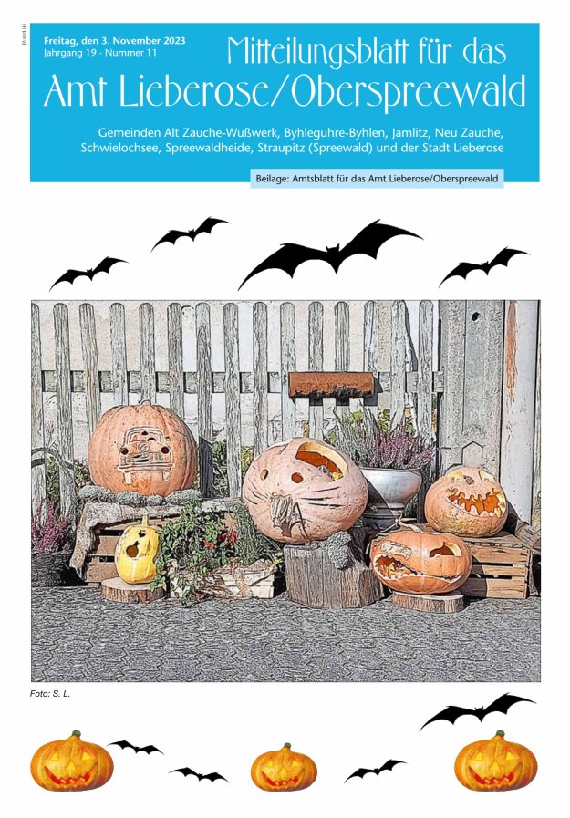 Mitteilungsblatt – Amtsblatt für das Amt Lieberose/Oberspreewald Titelblatt 11/2023