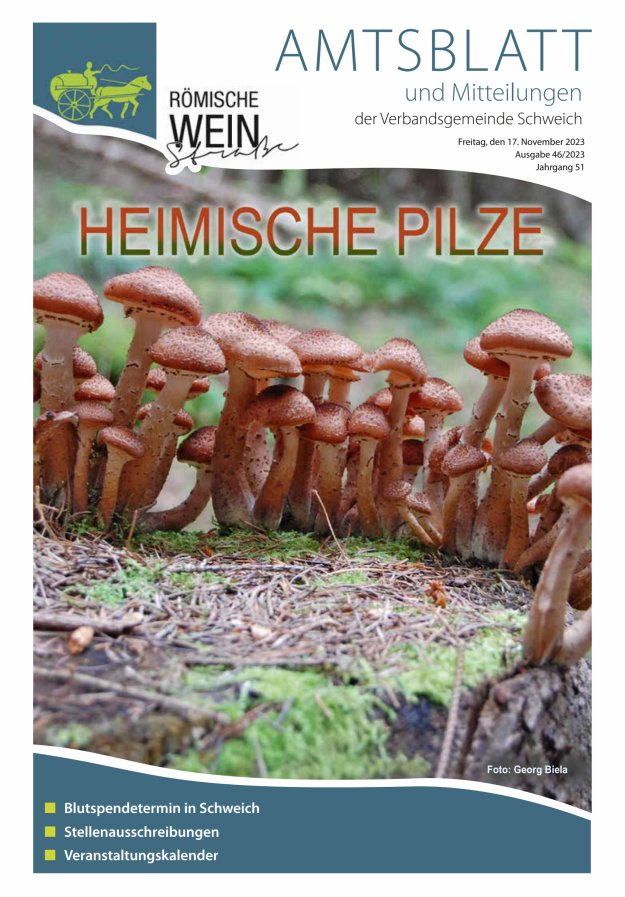 Amtsblatt VG Schweich Titelblatt 46/2023