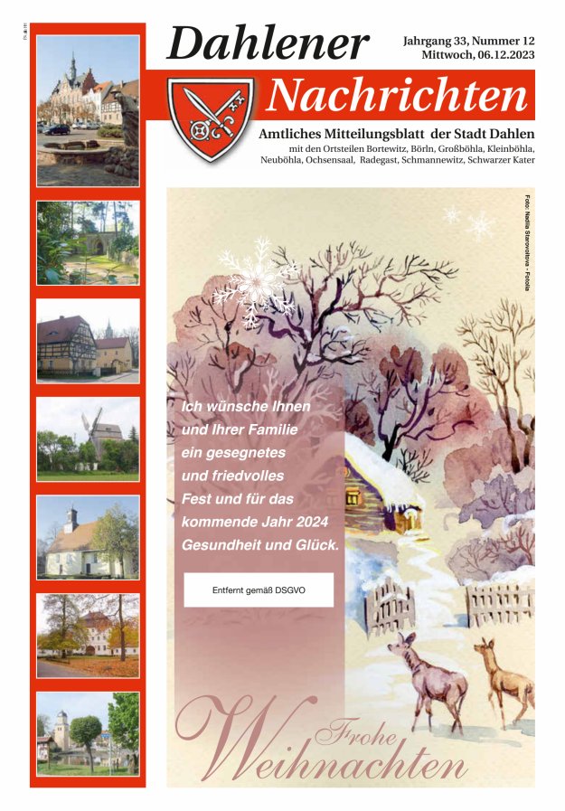Dahlener Nachrichten - Amtliches Mitteilungsblatt der Stadt Dahlen Titelblatt 12/2023