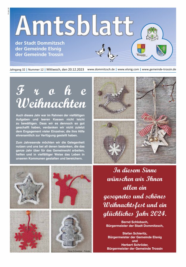 Dommitzsch Info - Amtsblatt der Stadt Dommitzsch der Gemeinden Elsnig und Trossin Titelblatt 12/2023