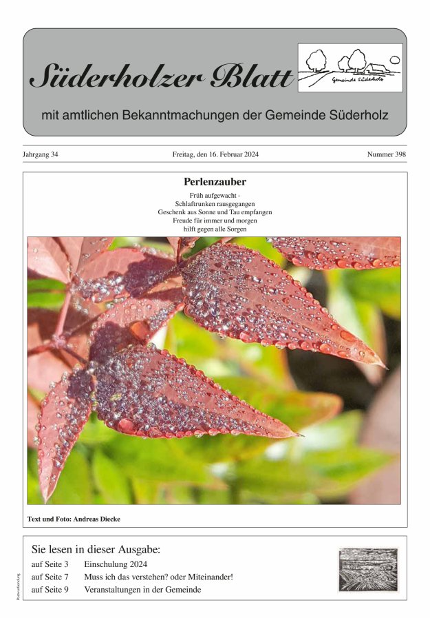 Süderholzer Blatt Titelblatt 398/2024