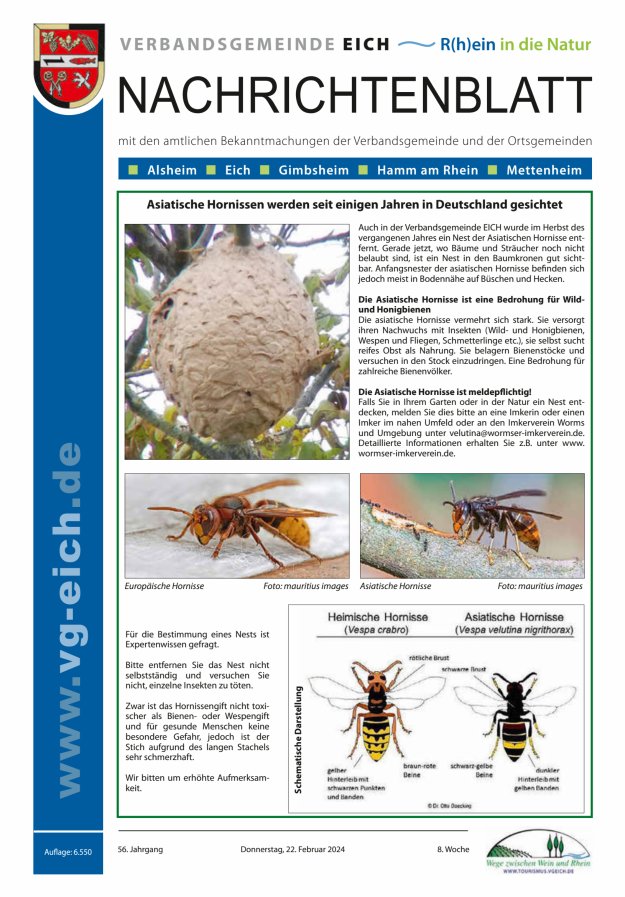 Nachrichtenblatt der VG Eich Titelblatt 08/2024