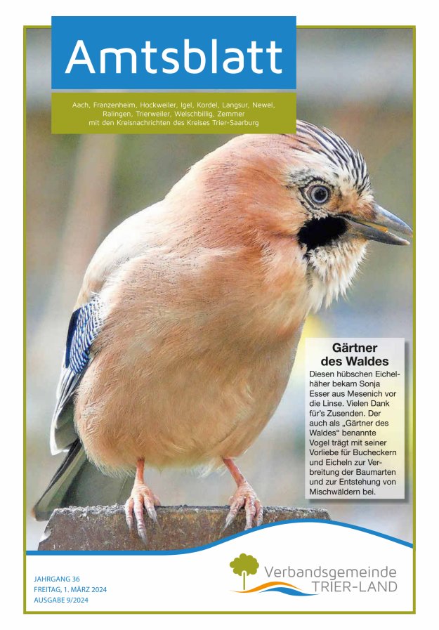 Amtsblatt VG Trier-Land Titelblatt 09/2024