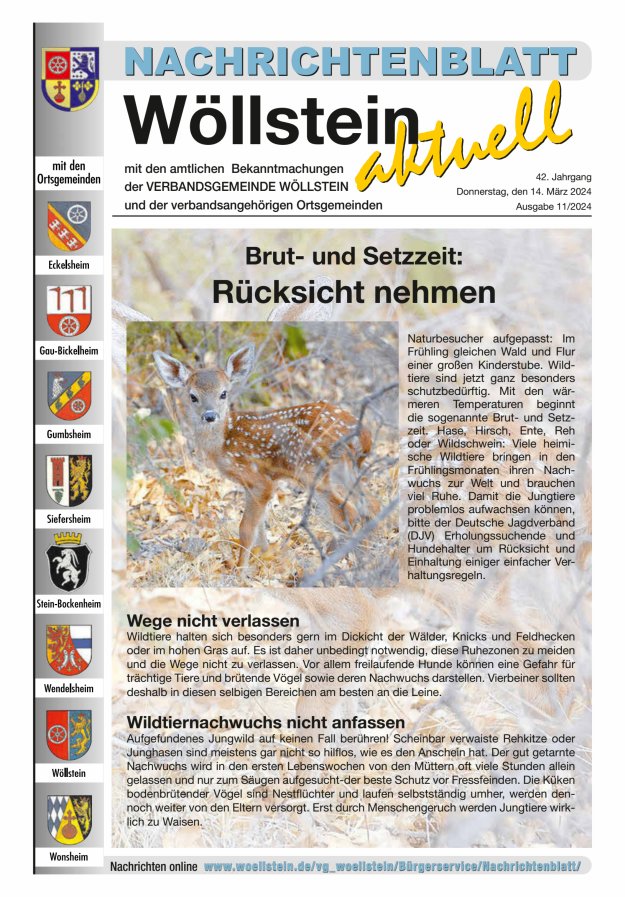 Nachrichtenblatt Wöllstein aktuell Titelblatt 11/2024