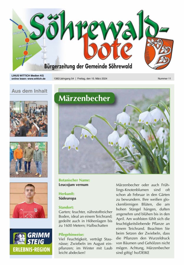 Söhrewaldbote Titelblatt 11/2024