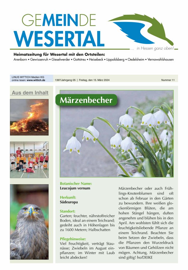 Wesertal Titelblatt 11/2024