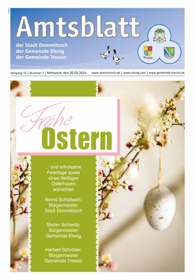 Dommitzsch Info - Amtsblatt der Stadt Dommitzsch der Gemeinden Elsnig und Trossin Titelblatt 03/2024