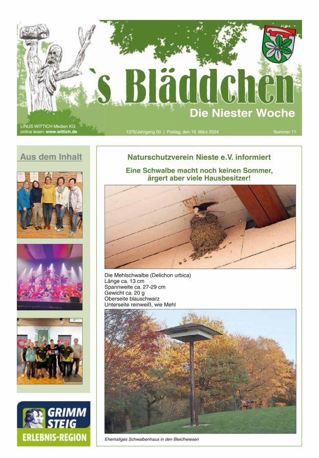 Niester Woche Titelblatt 11/2024