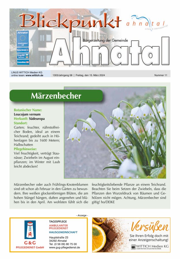 Blickpunkt Ahnatal Titelblatt 11/2024
