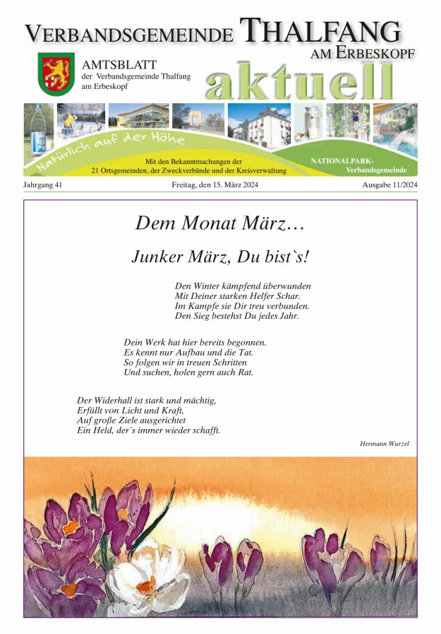 Thalfang aktuell - Amtsblatt VG Thalfang Titelblatt 11/2024