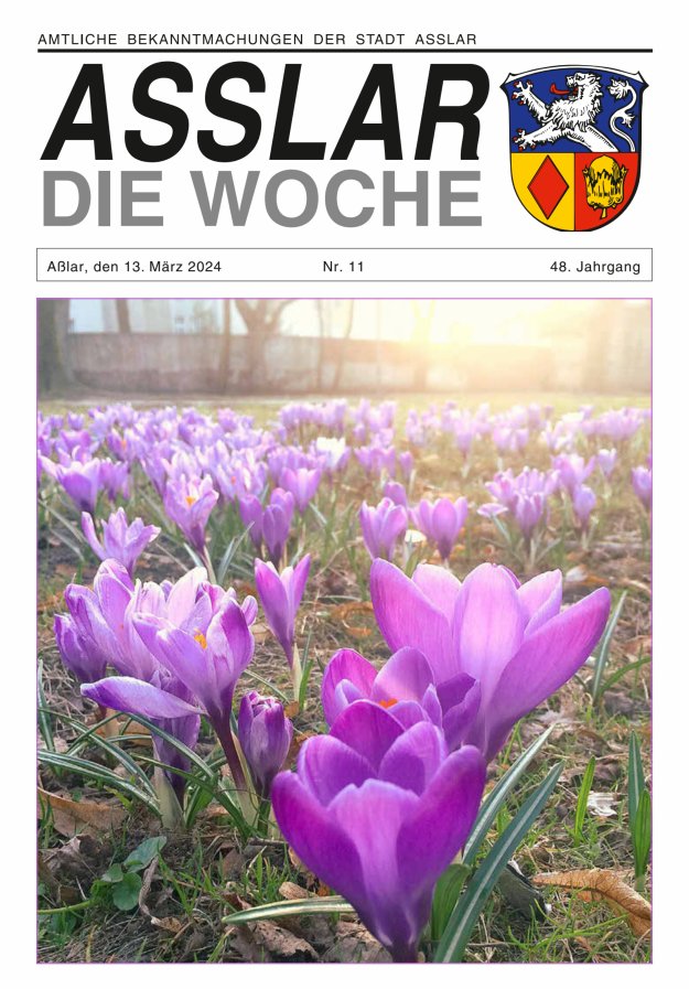 Asslar - Die Woche Titelblatt 11/2024