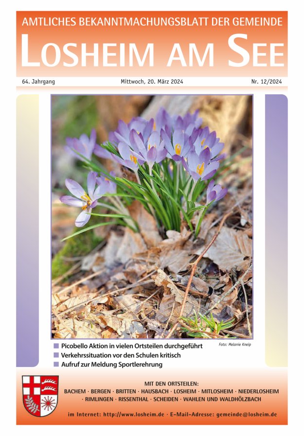 Amtliches Bekanntmachungsblatt der Gemeinde Losheim am See Titelblatt 12/2024
