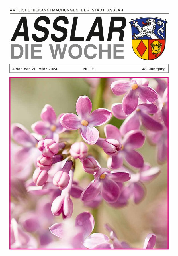 Asslar - Die Woche Titelblatt 12/2024