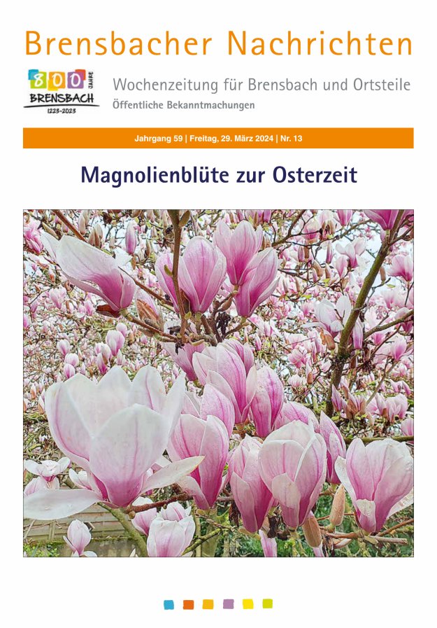 Brensbacher Nachrichten Titelblatt 13/2024