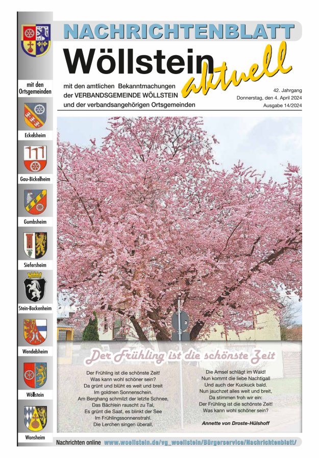Nachrichtenblatt Wöllstein aktuell Titelblatt 14/2024