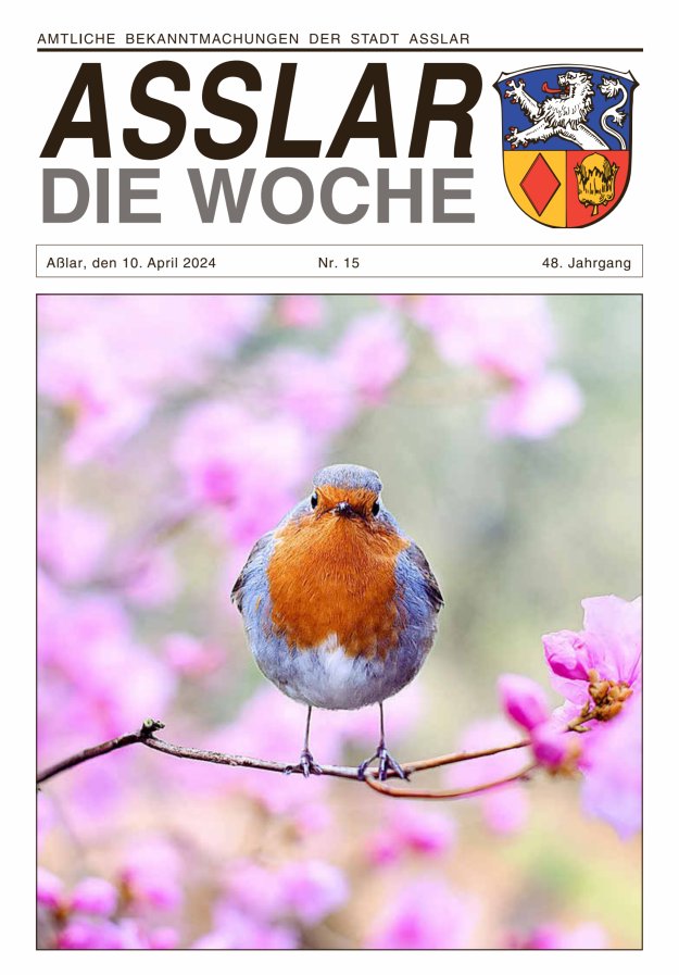 Asslar - Die Woche Titelblatt 15/2024