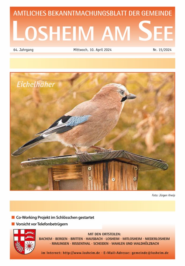 Amtliches Bekanntmachungsblatt der Gemeinde Losheim am See Titelblatt 15/2024
