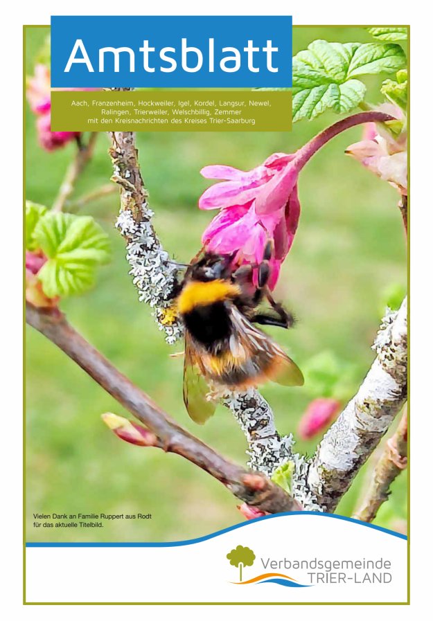 Amtsblatt VG Trier-Land Titelblatt 16/2024