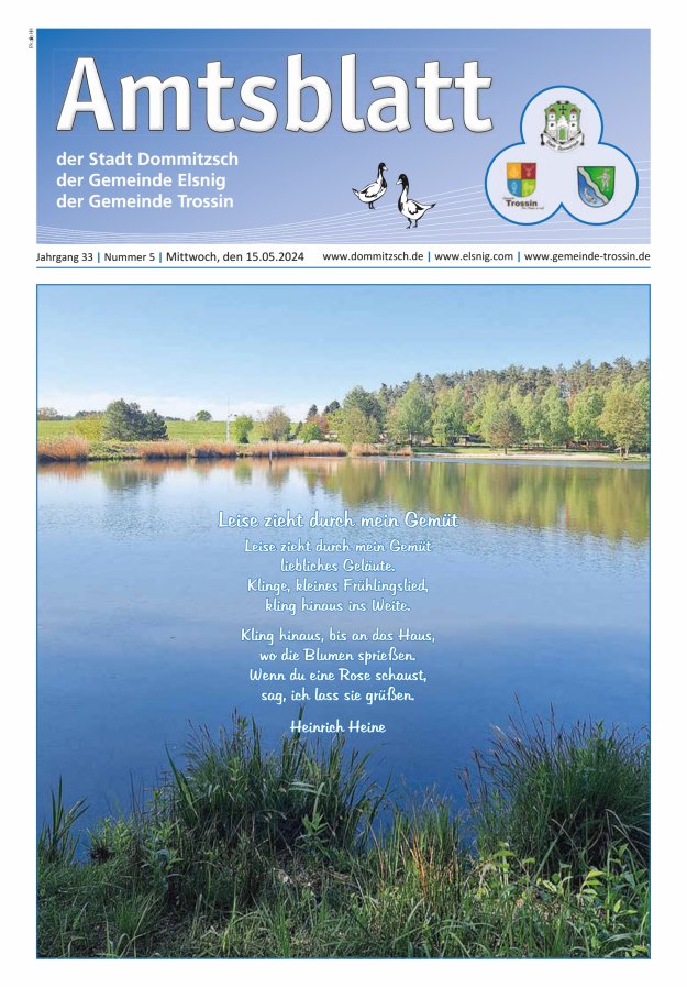 Dommitzsch Info - Amtsblatt der Stadt Dommitzsch der Gemeinden Elsnig und Trossin Titelblatt 05/2024