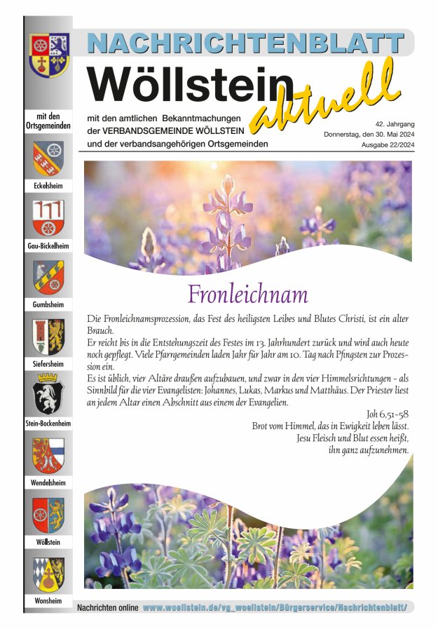 Nachrichtenblatt Wöllstein aktuell Titelblatt 22/2024