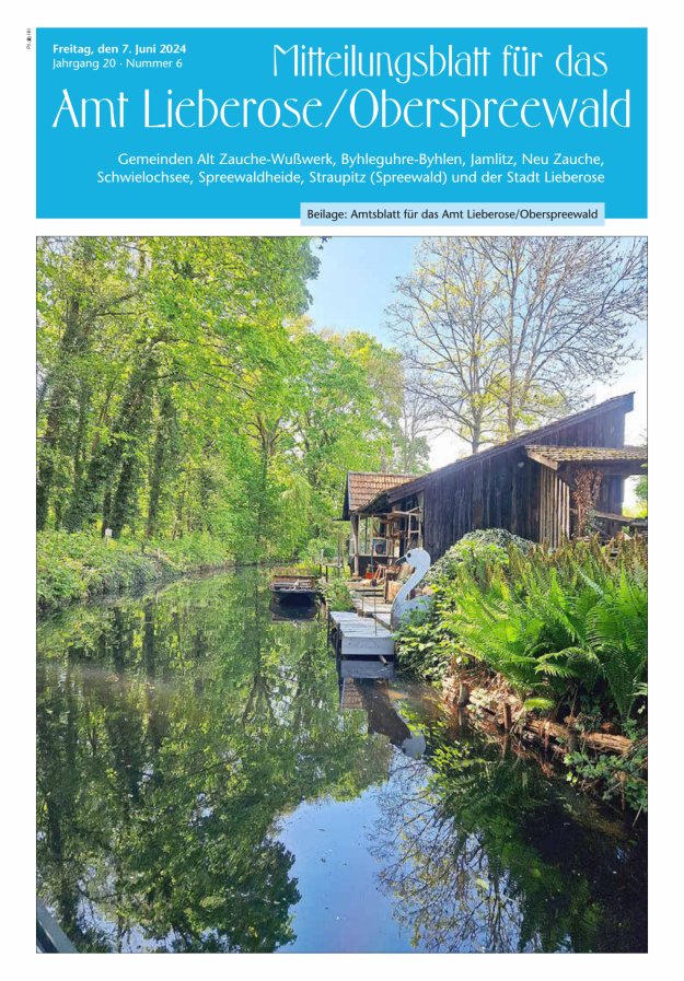 Mitteilungsblatt – Amtsblatt für das Amt Lieberose/Oberspreewald Titelblatt 06/2024