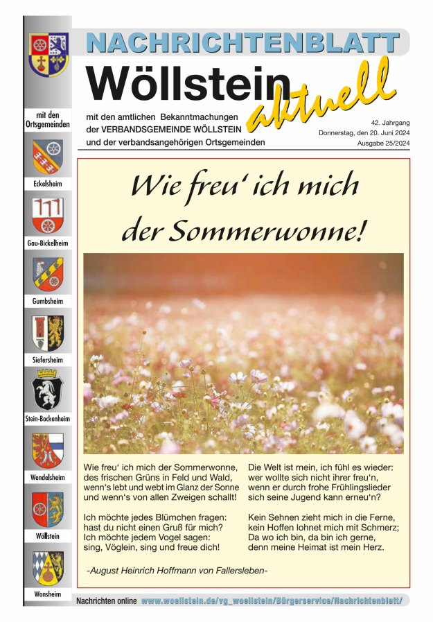 Nachrichtenblatt Wöllstein aktuell Titelblatt 25/2024