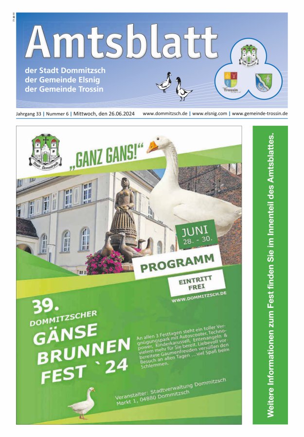 Dommitzsch Info - Amtsblatt der Stadt Dommitzsch der Gemeinden Elsnig und Trossin Titelblatt 06/2024