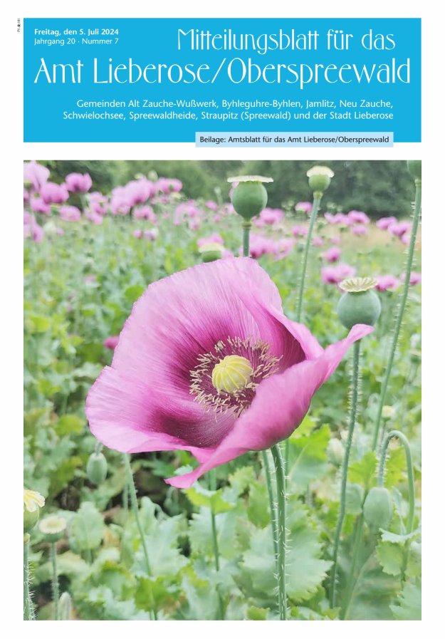 Mitteilungsblatt – Amtsblatt für das Amt Lieberose/Oberspreewald Titelblatt 07/2024