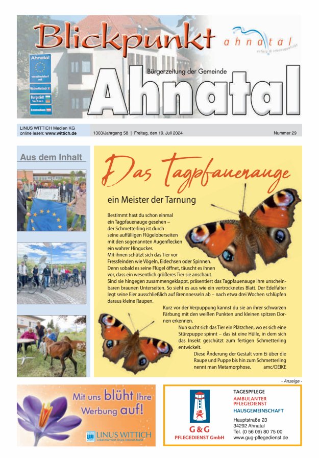 Blickpunkt Ahnatal Titelblatt 29/2024