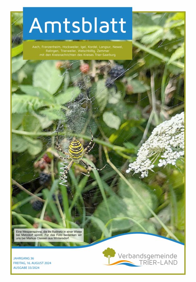 Amtsblatt VG Trier-Land Titelblatt 33/2024