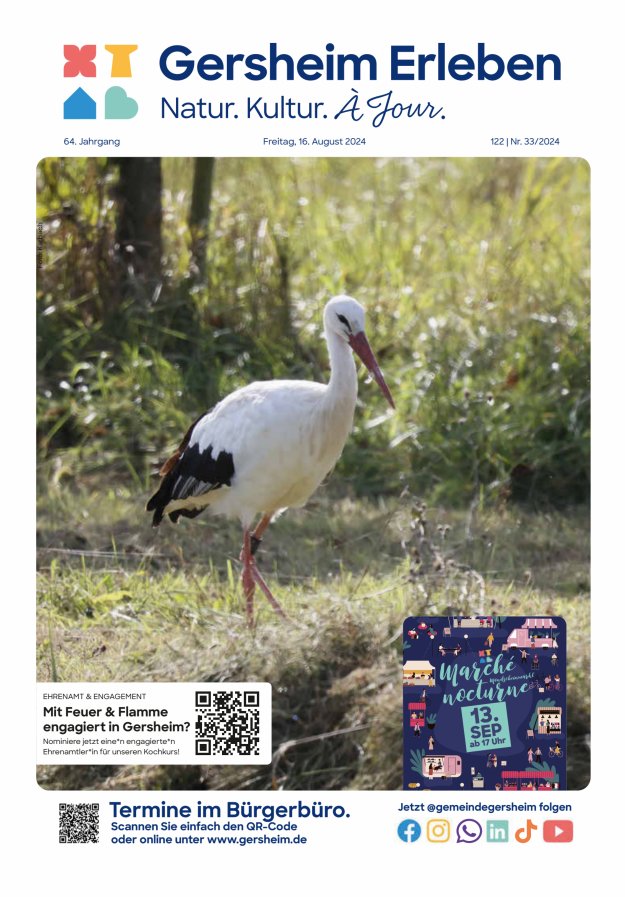Bekanntmachungsblatt der Gemeinde Gersheim Titelblatt 33/2024