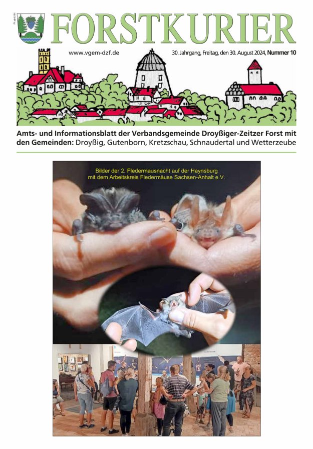 Forstkurier Amts- u. Informationsblatt VG Droyßiger-Zeitzer Forst Titelblatt 10/2024