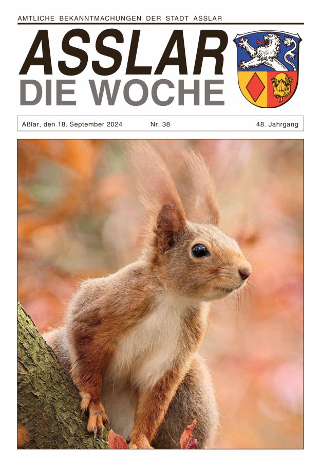 Asslar - Die Woche Titelblatt 38/2024