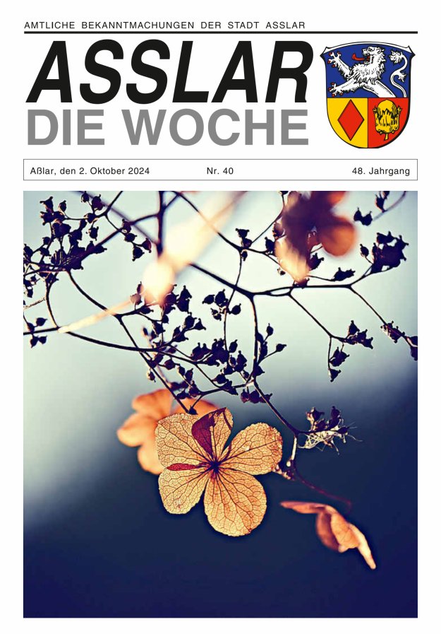 Asslar - Die Woche Titelblatt 40/2024