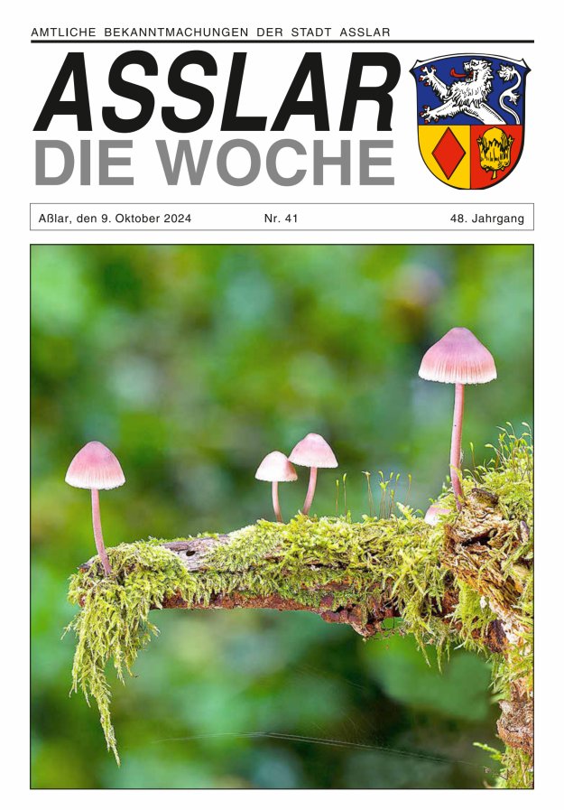 Asslar - Die Woche Titelblatt 41/2024
