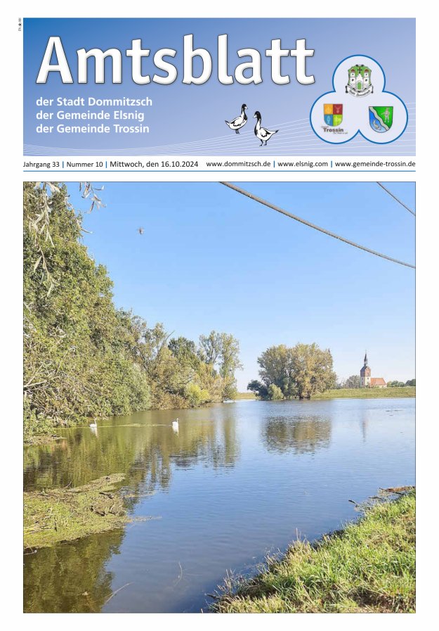Dommitzsch Info - Amtsblatt der Stadt Dommitzsch der Gemeinden Elsnig und Trossin Titelblatt 10/2024