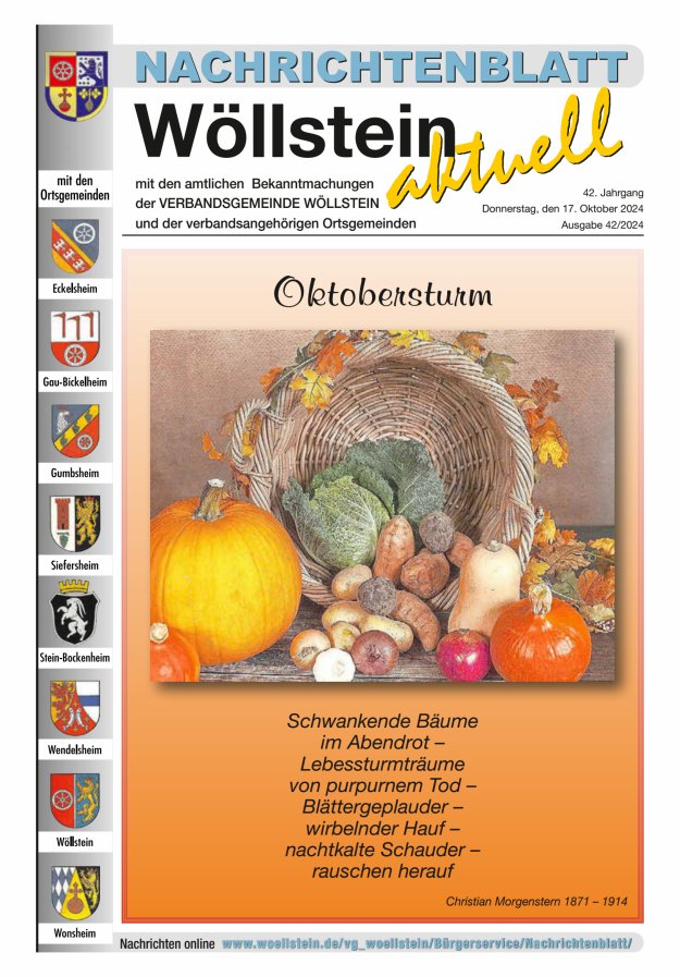 Nachrichtenblatt Wöllstein aktuell Titelblatt 42/2024