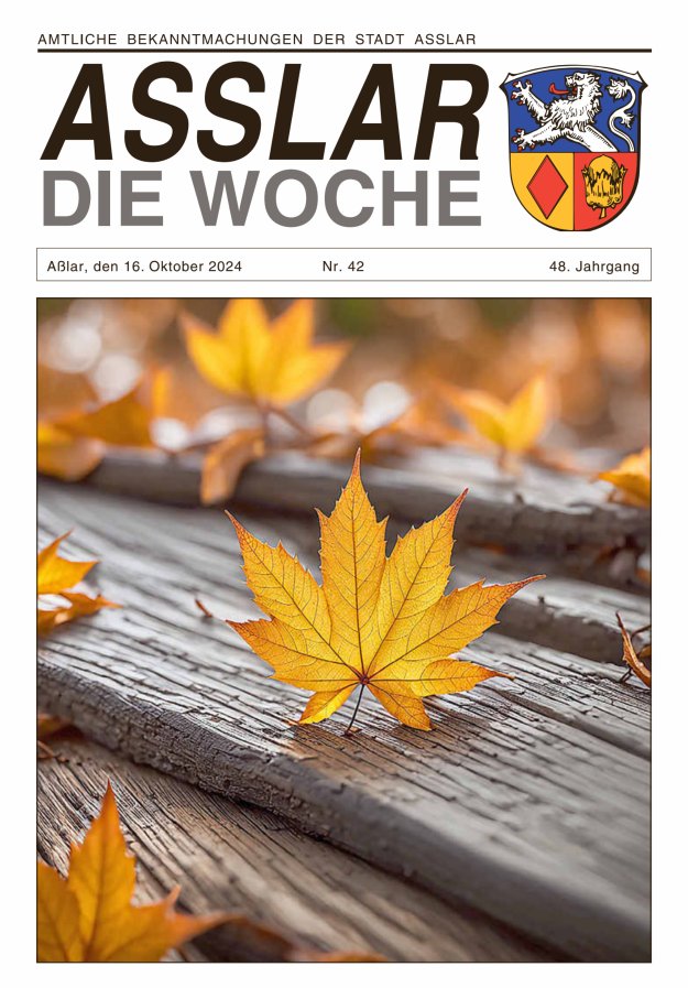 Asslar - Die Woche Titelblatt 42/2024