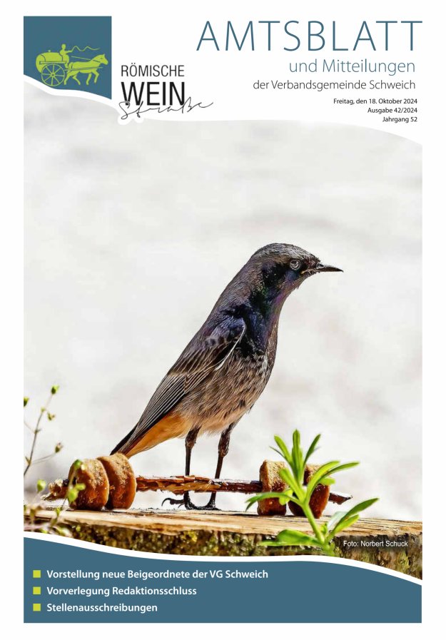 Amtsblatt VG Schweich Titelblatt 42/2024