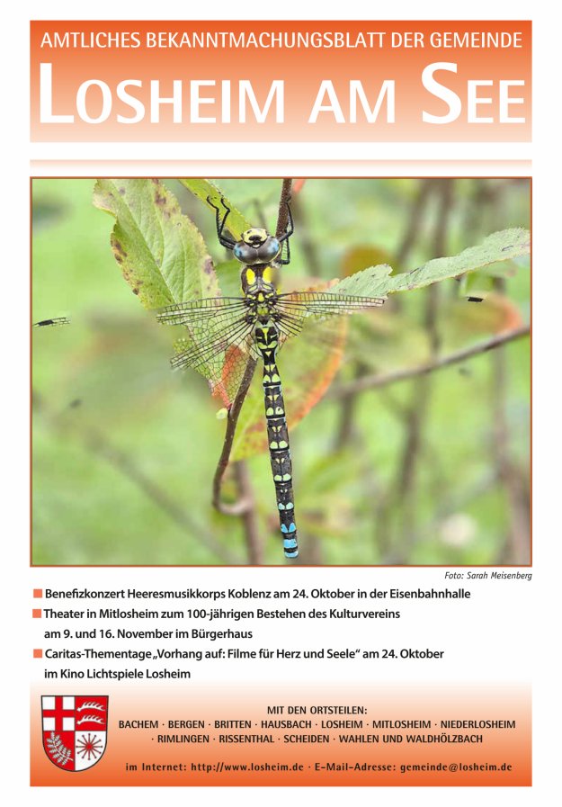 Amtliches Bekanntmachungsblatt der Gemeinde Losheim am See Titelblatt 43/2024